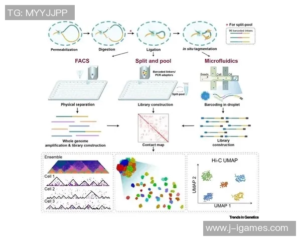 安科纳足球俱乐部的辉煌历程与未来发展展望解析 安科纳足球俱乐部的辉煌历程与未来发展展望解析